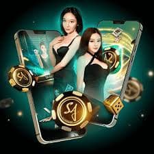 zplay88